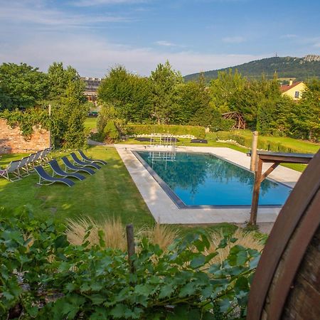 Amenity Penzion Horni Vestonice Exterior photo